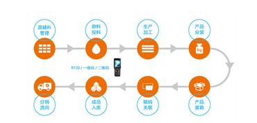構建智慧防線 水產品質量追溯系統與信息安全軟件開發雙管齊下，保障您的食用安全